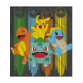 thumbnail image 2 of Pokemon Boys' Pikachu Kanto Jump T-Shirt, Sizes XS-XL, 2 of 3