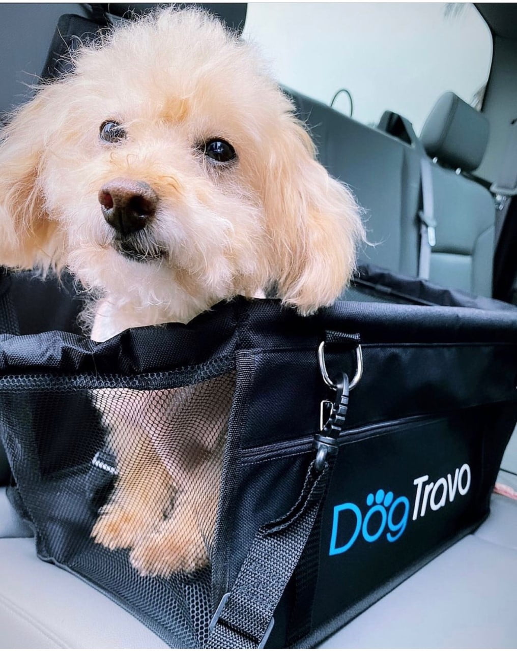 DogTravo Dog Car Seat
