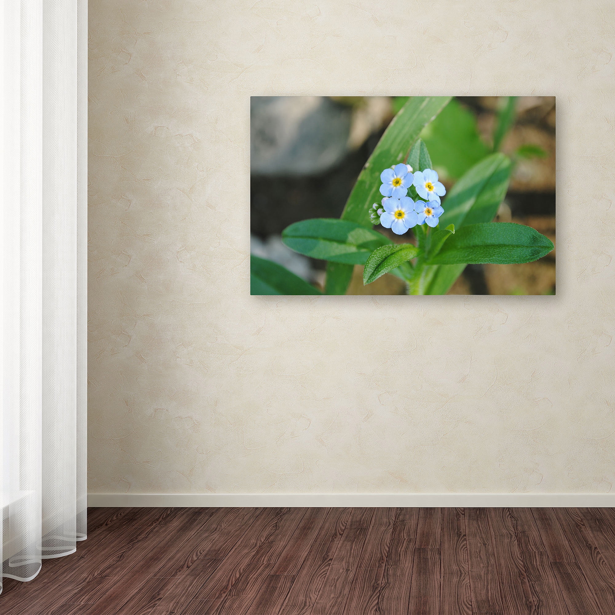 Trademark Fine Art "Dignified Characteristic" Canvas Art by Monica Fleet