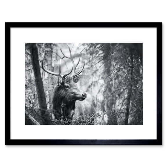Deer Head Antlers Forest Framed Wall Art Print