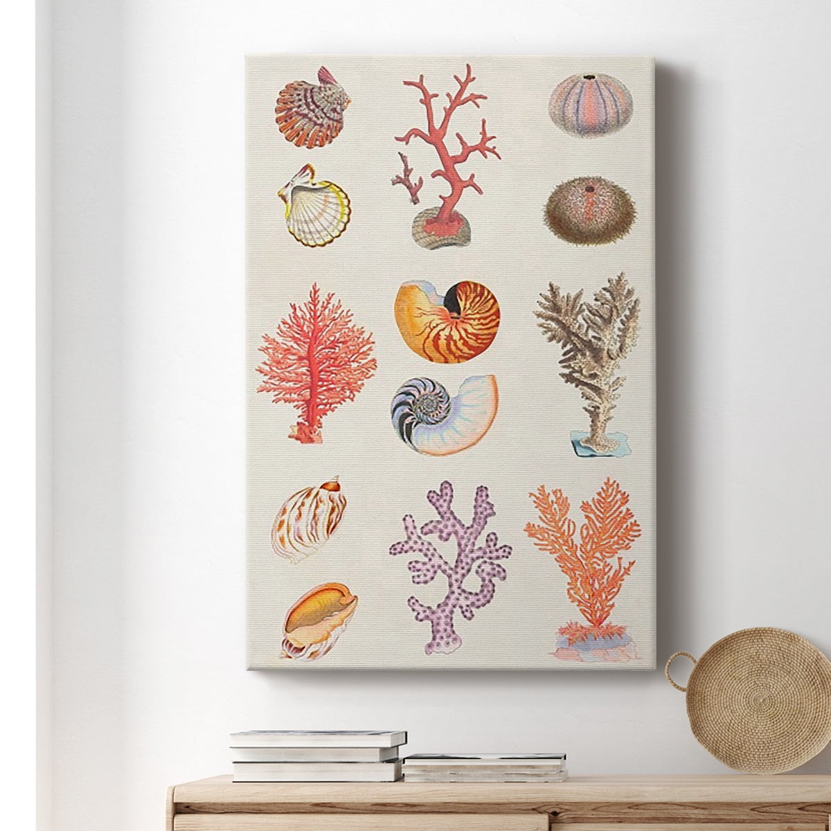 Coral & Shell Collage I Premium Gallery Wrapped Canvas - Ready to Hang