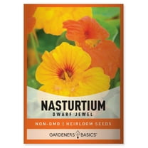 Jewel Mix Nasturtium Seeds