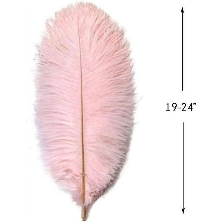 BIG Ostrich Feathers LIGHT PINK 21-24 Length 9-10 wide Price is