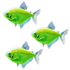 GloFish® White Skirt Tetra Add-On 3ct Live Assortments