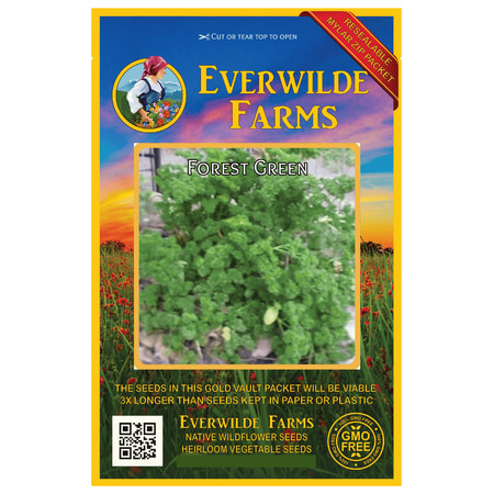 - Everwilde Farms - 1000 Forest Green Parsley Seeds - Gold Vault Jumbo Bulk Seed Packet