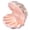 Pink, variant on Elegant Shell Ring Holder Decorative Home Accessory Organize Earrings Necklace
