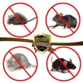 thumbnail image 2 of Repelente de ratones y ratas Natural Armor Peppermint en aerosol de 3,8 L, 2 of 7