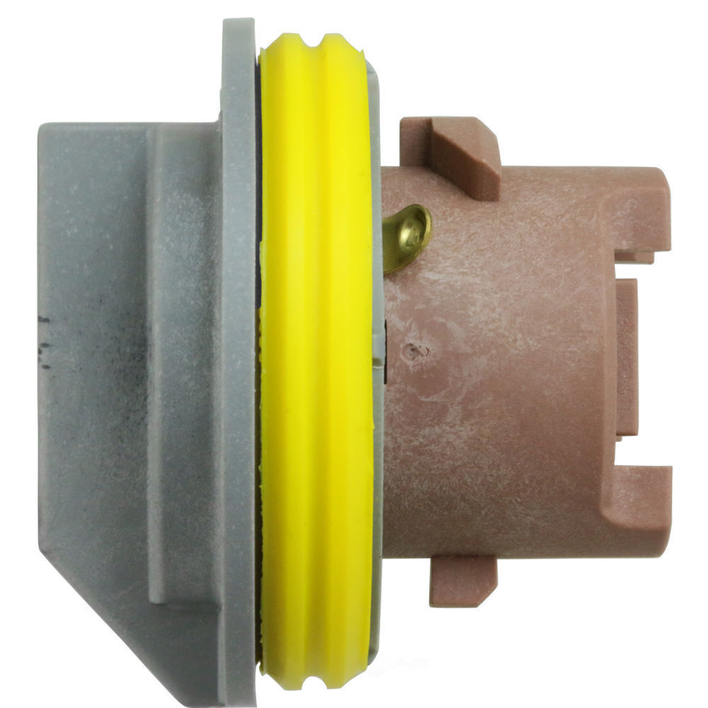 WVE Tail Light Socket