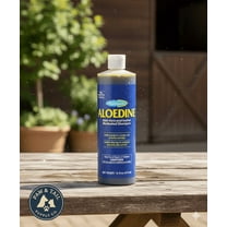 Farnam Aloedine Medicated Shampoo 16 oz Great for Horses Dogs Moisturizing Gentle