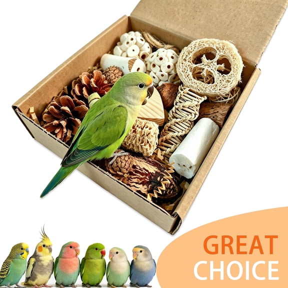BellaNotes Bird Toys Parrot Toys Natural Bird Foraging Box Foot for Parakeets,Cockatiels,Conures,Love Birds,and Other Small to Medium Birds