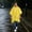 Yellow, variant on Sentmoon Rain Coats Lightweight Waterproof Rain Suit Packable Outdoor Hooded Windbreaker Rain Ponchos for Adults