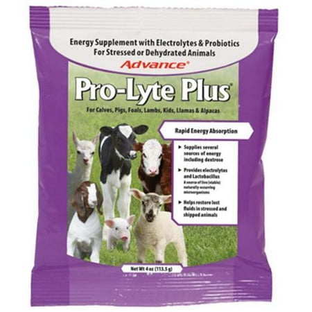 Manna Pro 1000369 Pro-Lyte Plus Livestock Electrolyte Supplement, 4-oz.