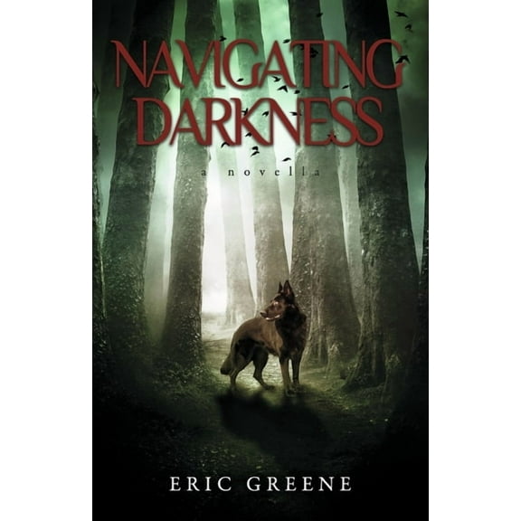 Navigating Darkness, (Paperback)