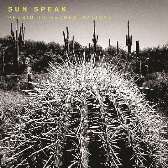 Sun Speak - Probiotic Orchestrations - Music & Performance - Vinyl