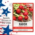 thumbnail image 5 of Cherry Belle Radish Seeds, 5 of 7