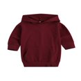 thumbnail image 1 of PENGXIANG Robe à Capuche pour Bébé Fille Tenues Solides Manches Longues Pull-Over avec Poche Robe Droite Longue Violette 1-2 Ans, 1 of 6