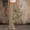 Khaki, variant on Women Pleated Drawstring Wide Leg Pants High Waist With Button Pockets Loose Cut For Small Town Strolls And Weekend Leisure Gray L