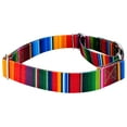 thumbnail image 4 of Country Brook Petz® Serape Martingale Dog Collar and Leash, Large, 4 of 6