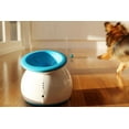 thumbnail image 5 of iFetch Automatic Ball Launcher for Dogs, 5 of 5