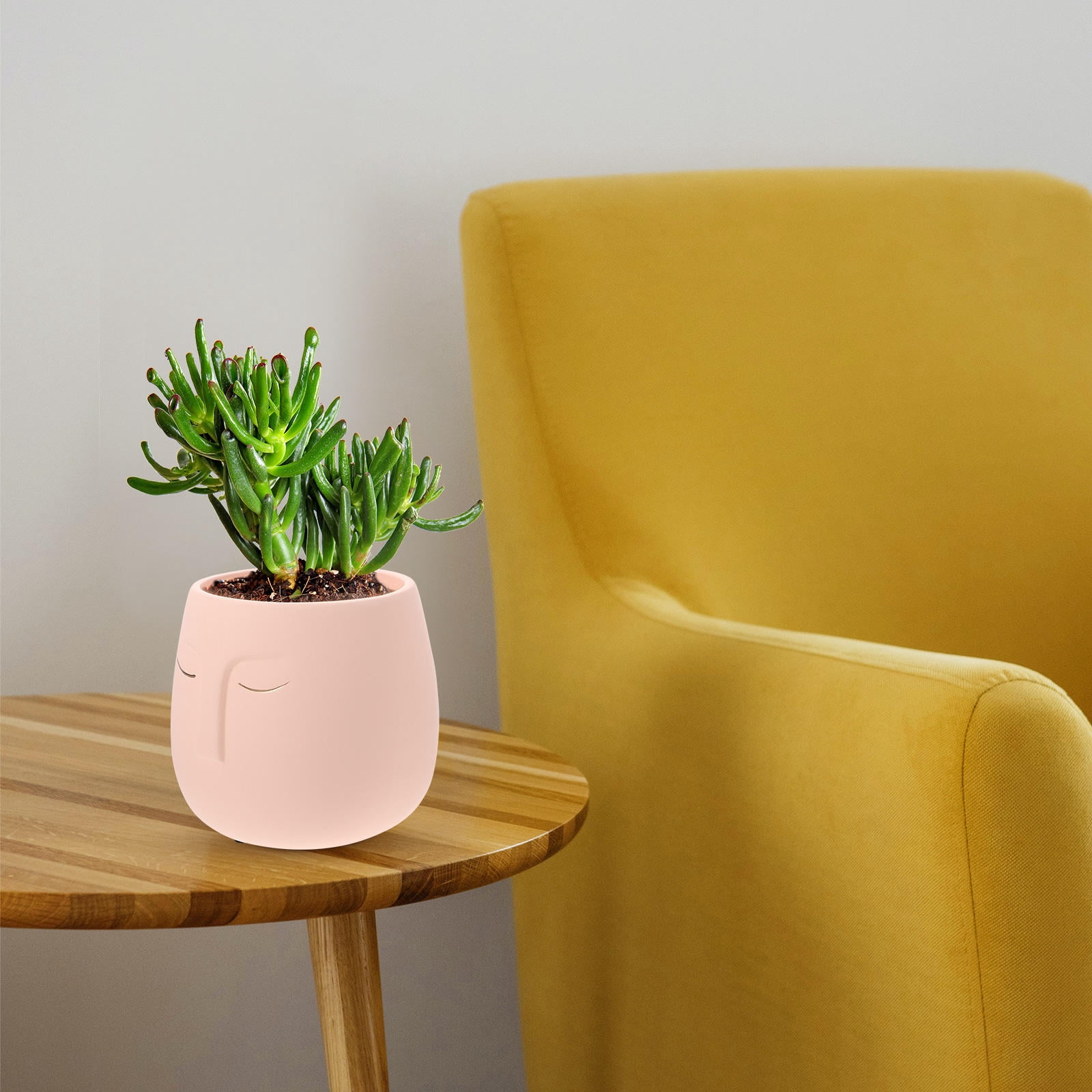 WHAMVOX  Garden Decorative Ceramics Indoor Plant Pot Succulent Planters Flower Pots for Plants Pink