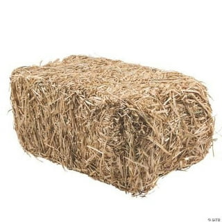 Straw vs Hay: What's the difference?Wells Brothers Pet, Lawn