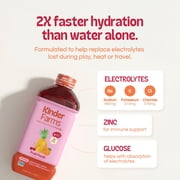 (2 pack) KinderFarms Electrolyte Solution Drink for Kids & Adults, Fruit Punch, 1 Liter