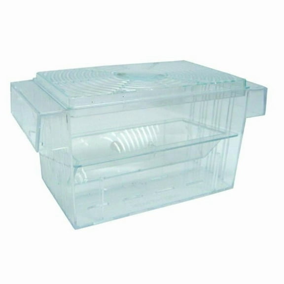 6.5 x 3 x 3.5 in. Fish Hatchery Tank