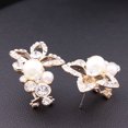 thumbnail image 3 of Guardurnaity 1 par de pendientes de uva con flor de perla y diamantes de imitación de cristal para mujer, joyería para fiesta y boda Ropa, zapatos y accesorios Miscelánea, 3 of 6