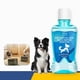 thumbnail image 1 of Clean Premium Cat & Dog Teeth Care And Dog Breath Freshener - No Brush Tartar & Plaque Remover For Dogs Teeth 250ml, 1 of 5