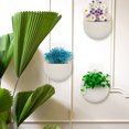 thumbnail image 5 of 4 Pcs Hydroponic Wall-Mounted Flower Pot Rail Plastic Flowerpot Indoor Pots Outdoor Bucket, 5 of 6