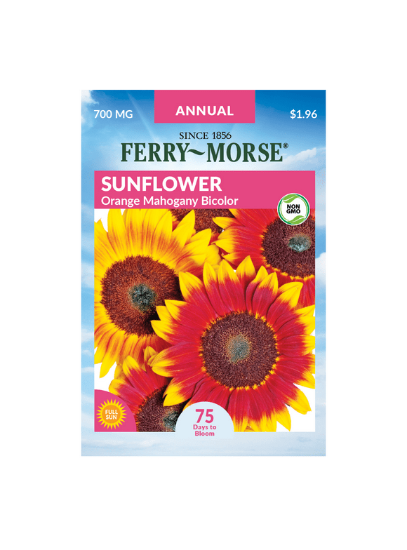 Sunflower Flower Seeds in Seed Gardening