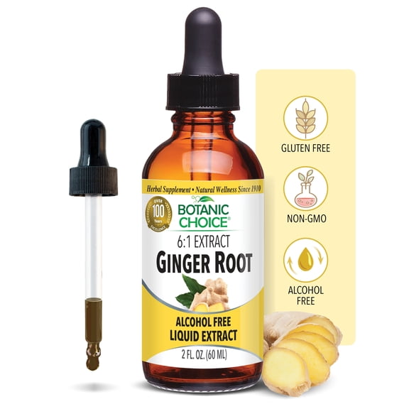 Botanic Choice Ginger Root Extract Liquid, Herbal Health Supplements- 1 Fl Oz