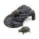 thumbnail image 1 of Rampa tortuga Unique Bargains Resina Gris Oscuro Hábitat para pecera, 1 of 3