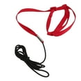 thumbnail image 1 of Flying Training Rope, Bird Leash Elastic Easily Buckled  For Attending Party For Walking Red M, 1 of 8