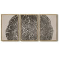 thumbnail image 5 of SHENIFY large 24x36in3pcs Natural Framed Farmhouse Vintage Wall Art Set Gray Wood Tree Ring Spirals Nature Abstract Drawings Rustic Modern Art Decor for Living Room Bedroom, 5 of 6