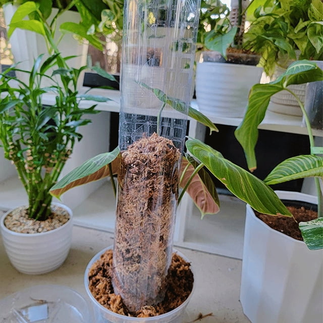 Langgg Train Indoor Potted Plants Upward With Sticks Support Train Plants To Grow Upward Unique 4pcs set