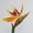 Orange, variant on D-GROEE 1pc Elegant Bird of Paradise Tropical Imitation Plant Flower Bouquets for Home Party Decorations