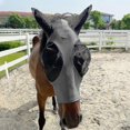 thumbnail image 5 of Horse Fly Mask, Fly Masks For Horses With Ears, Smooth & Elasticity Lycra Fly Mask, Avoid Equine Fly And Uv Protection(grey, Full (large)), 5 of 5
