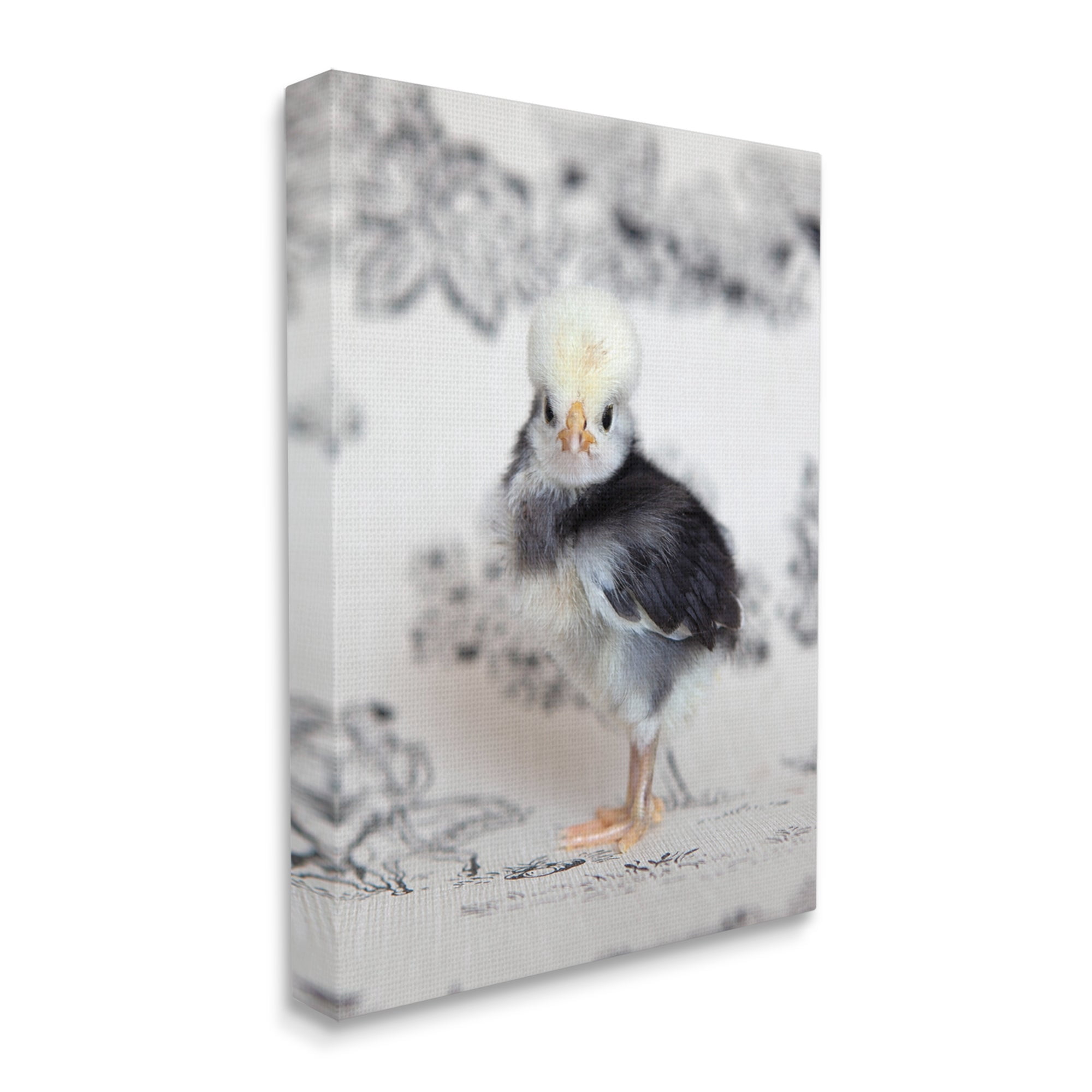 Stupell Industries Calm Baby Bird Chick Gazing Close-Up Photography Pattern Photograph Gallery Wrapped Canvas Print Wall Art, Design by Tania Soderman