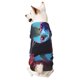 thumbnail image 1 of Balery Lively Cute Turtle Sudadera con Capucha para Perros Pequeños – Ropa para Mascotas, Disfraz para Perros y Gatos, Ideal para Fiestas y Cosplay-Small, 1 of 7