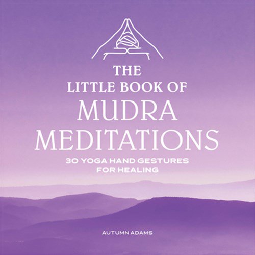 Pre-Owned The Little Book of Mudra Meditations: 30 Yoga Hand Gestures for Healing Paperback