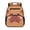 Cute Capybara, variant on Sea Turtle Lightweight Kids Preschool Backpack 13.5", Multi-Compartment Toddler Bookbag with Mesh Sides, Dual Carry Design for Daycare Outdoor Travel