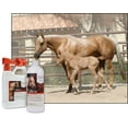 thumbnail image 3 of UltraCruz Equine Foaming Horse Shampoo with Travel Applicator and Refill Bundle, 32 oz Each, 3 of 5