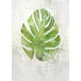 thumbnail image 2 of Roko, Ken 11x14 Gold Ornate Wood Framed with Double Matting Museum Art Print Titled - Textured Split Leaf Palm, 2 of 4