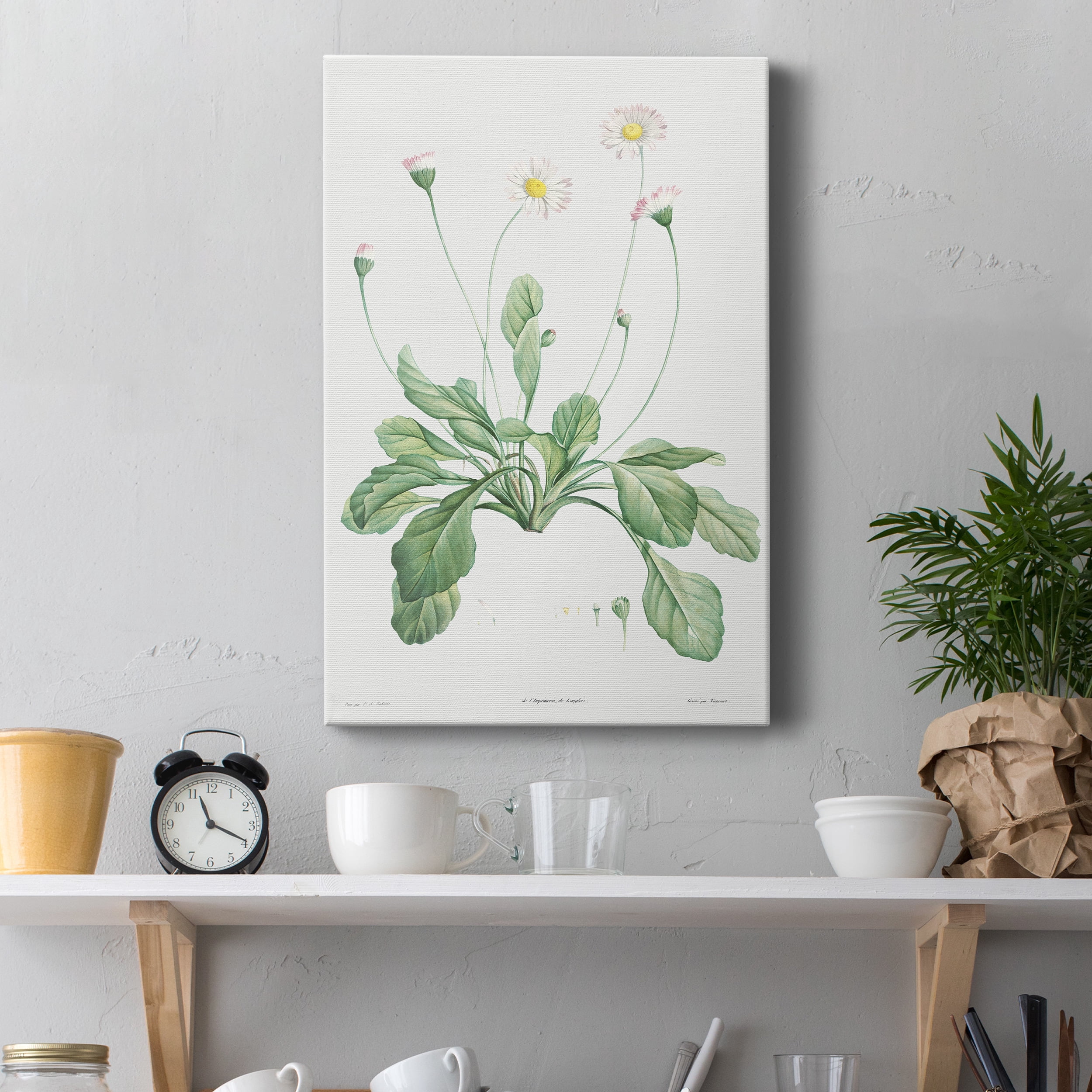 Daisy Premium Gallery Wrapped Canvas - Ready to Hang - 8 x 12