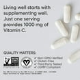 thumbnail image 5 of Sports Research® High Potency 1000mg Vitamin C for Immune Support (240 Veggie Capsules), 5 of 8