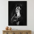 thumbnail image 2 of Designart ' Close Up Portrait Of Black Kladruby Horse ' Farmhouse Canvas Wall Art Print, 2 of 3