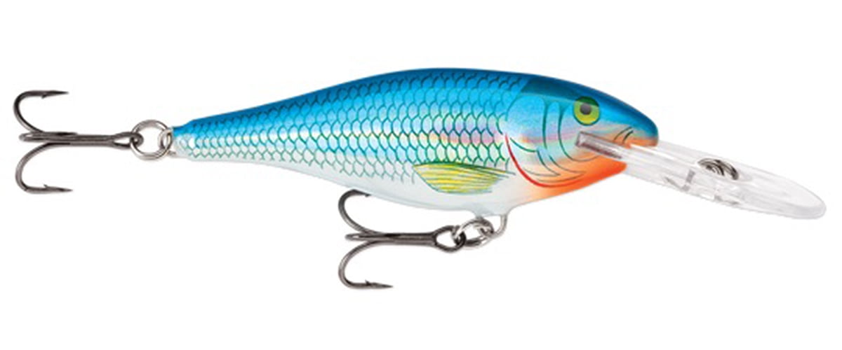 shad rap lure