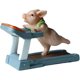 thumbnail image 1 of Adorno de cerdo bonito, figuras de animales de conejo, ardilla, gato, serie de ejercicios, manualidades de resina, decoraciones de mesa - A, 1 of 5