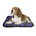 thumbnail image 2 of PKQWTM Cartoon Dragon Pet Dog Cat Bed Pee Pads Mat Cushion Potty Dogsblankets Crate Bed Kennel 14x18 inch, 2 of 3